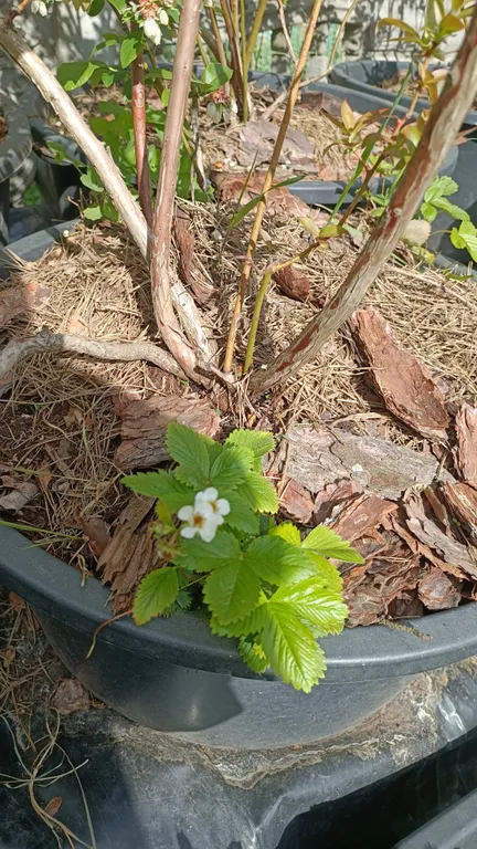 Новый коттедж для семейного отдыха в черте города