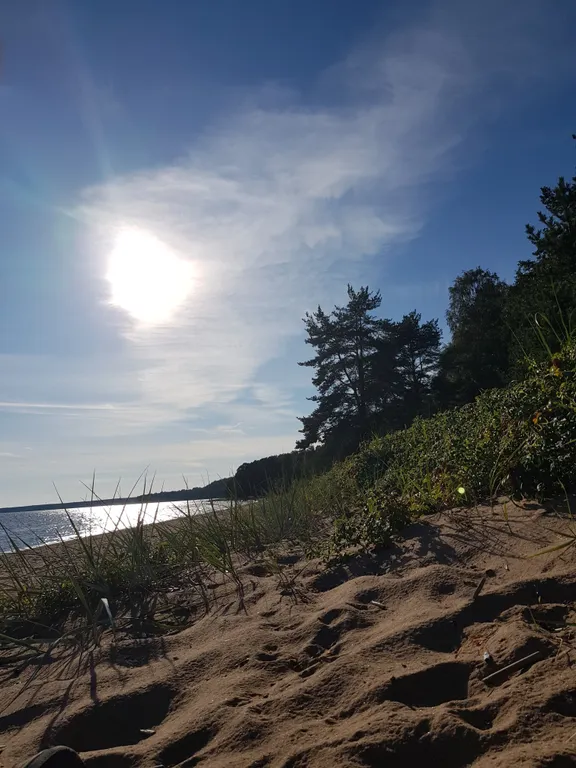 Просторная квартира с видом на лес