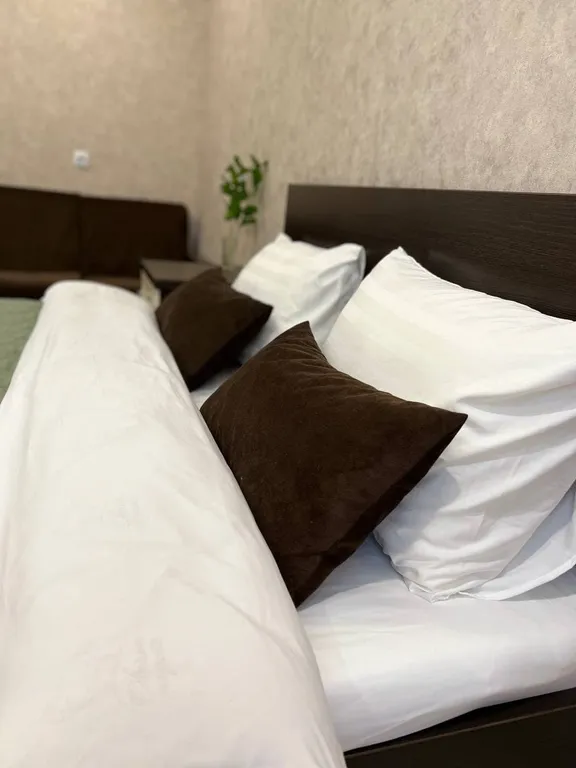 Апартаменты в центре города