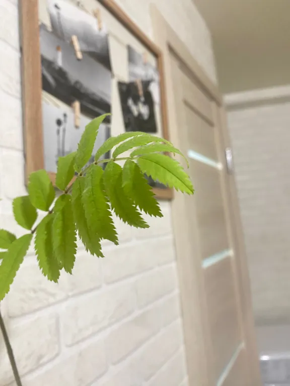 Квартира с атмосферой уюта и комфорта