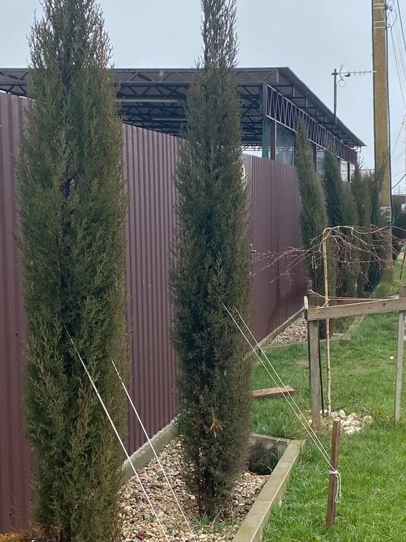 Уютный домик у моря