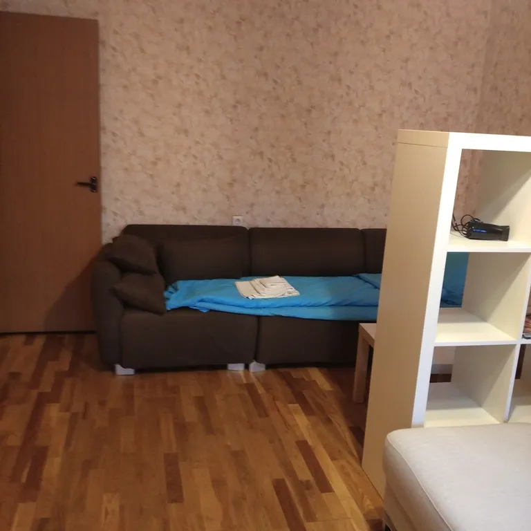 Квартира Просторная двухкомнатная квартира в 7 минутах пешком от метро — Москва