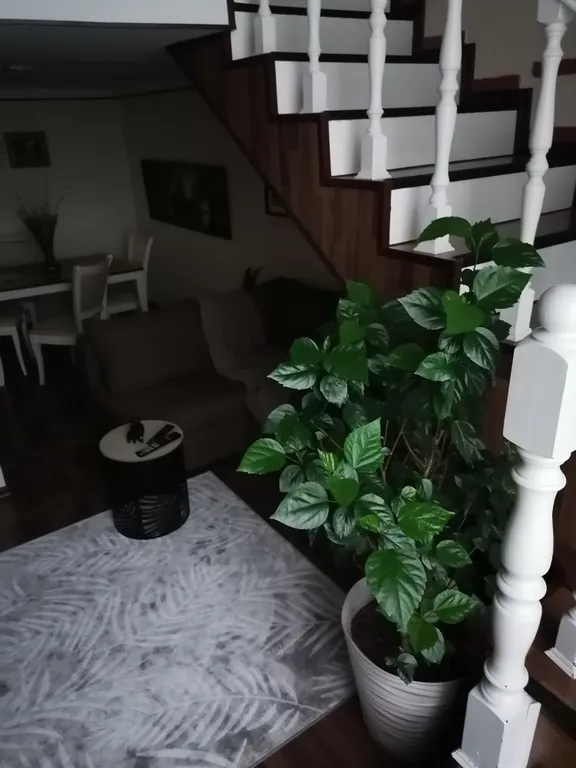 Апартамент-музей Картотека рядом с фуникулером