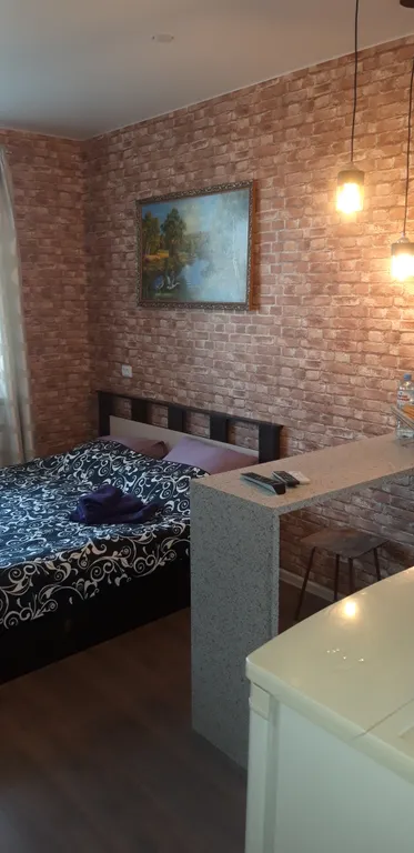 Квартира Квартира Небольшая уютная студия — Шушары