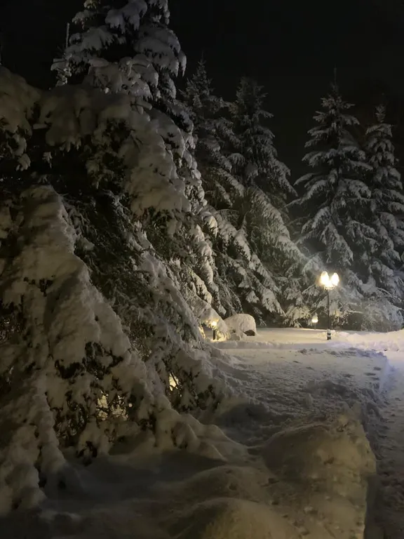 Коттедж Коттедж Семейный отдых на берегу Финского залива. — Санкт-Петербург