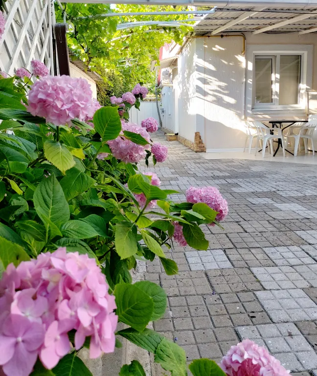 Квартира Комната — Геленджик