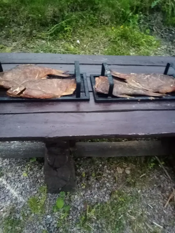 Домик с отдельным входом и красивым видом из окна со всеми удобствами