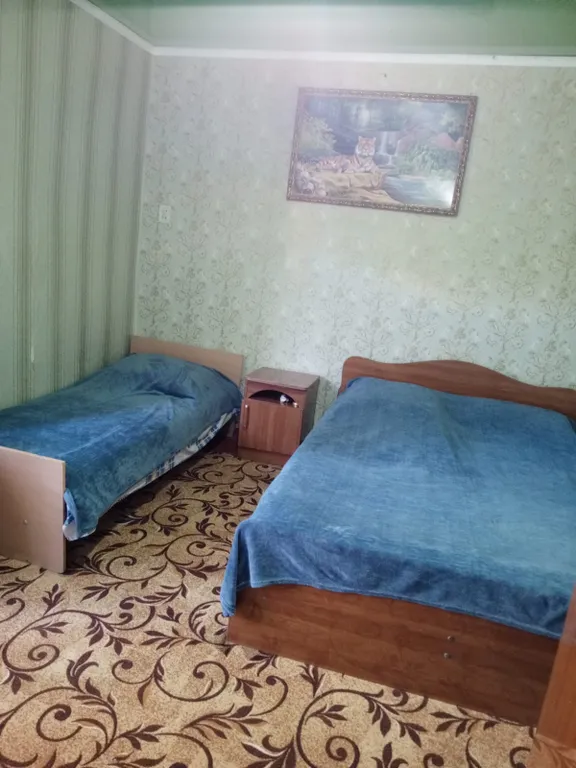 2-х комнатный дом