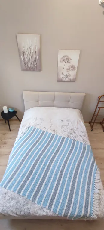 3-х квартира в сердце Нижнего Новгорода