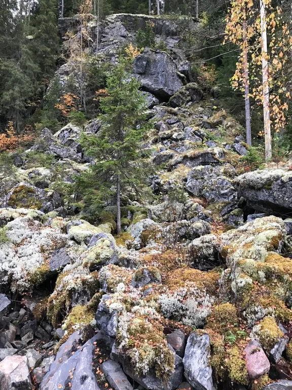 Гостевой дом 7 Villanorda