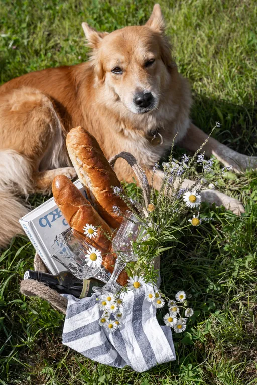 Коттедж Дом в лесу Нарская заимка с баней — Рогово