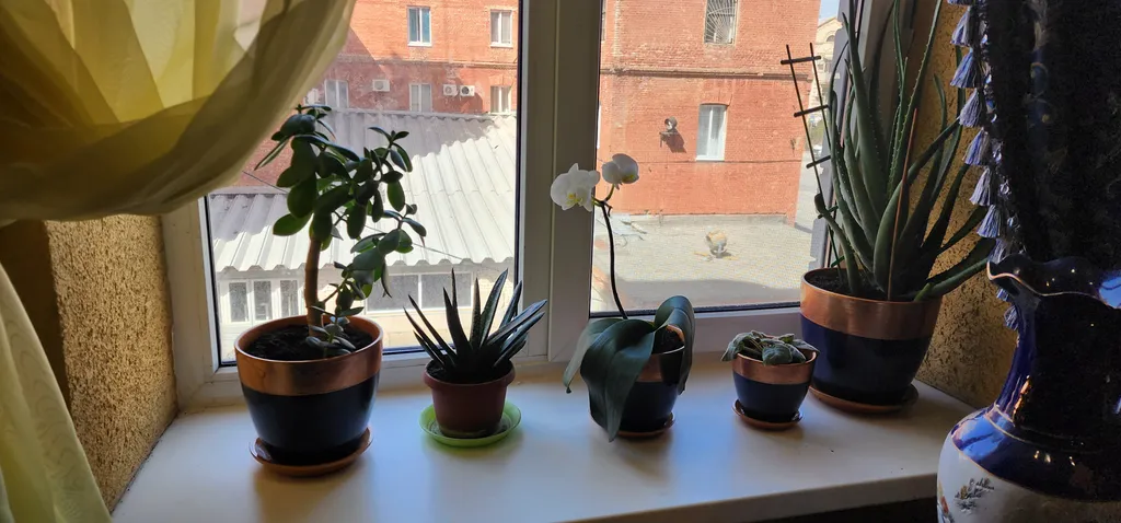 Дизайнерские апартаменты Райский уголок