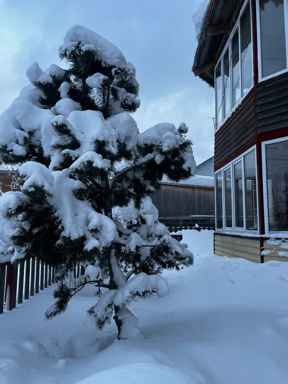 Квартира на Дзержинского