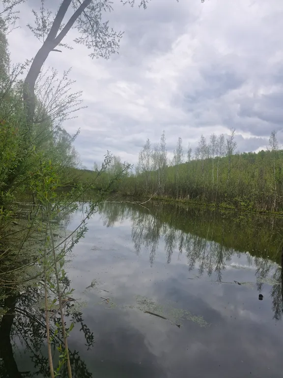 Коттедж А-фрейм с видом на озеро и лес — Казань