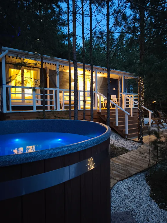 Дом с купелью в сосновом лесу