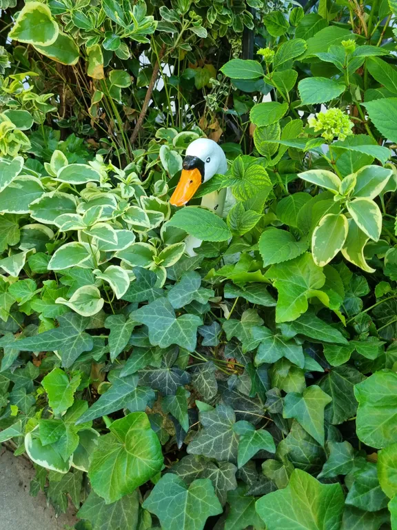 Рядом с морем для тебя,центральная набережная