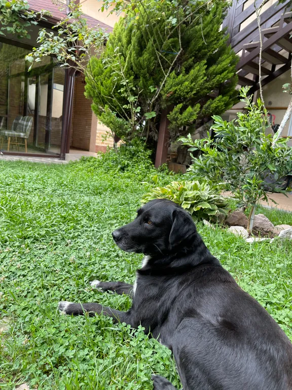 Квартира Квартира Апартамент Марион — Адлер