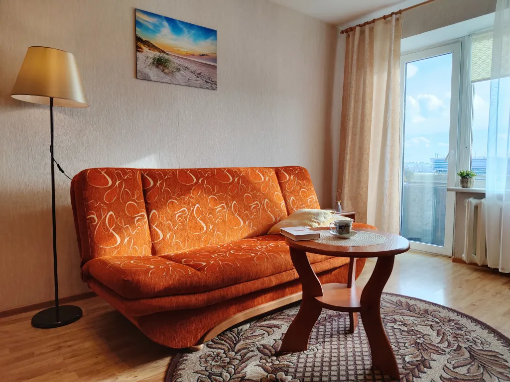 Квартира Уютная квартира с шикарным видом на стадион и набережную реки Преголя — Калининград