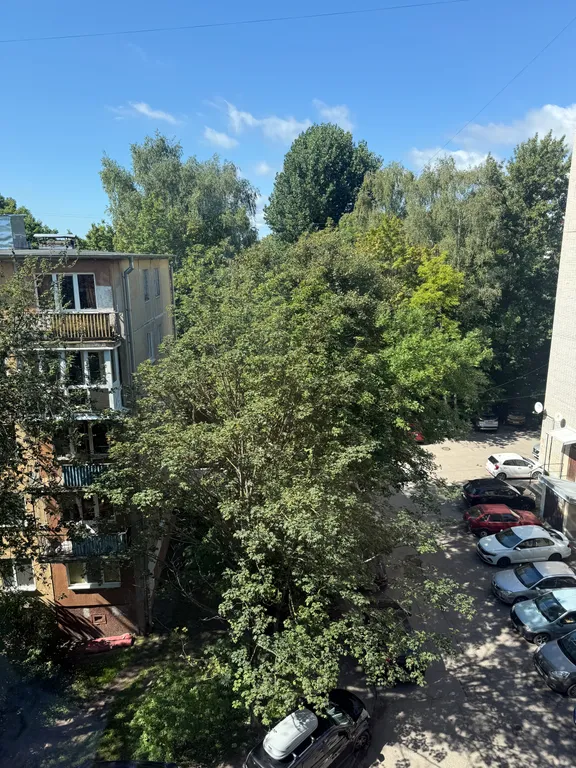 Квартира Уютная квартира на берегу Замкового пруда — Калининград