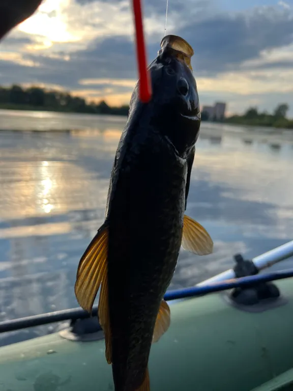 Коттедж Уютный домик с камином и кедровой бочкой на берегу озера — Лобня