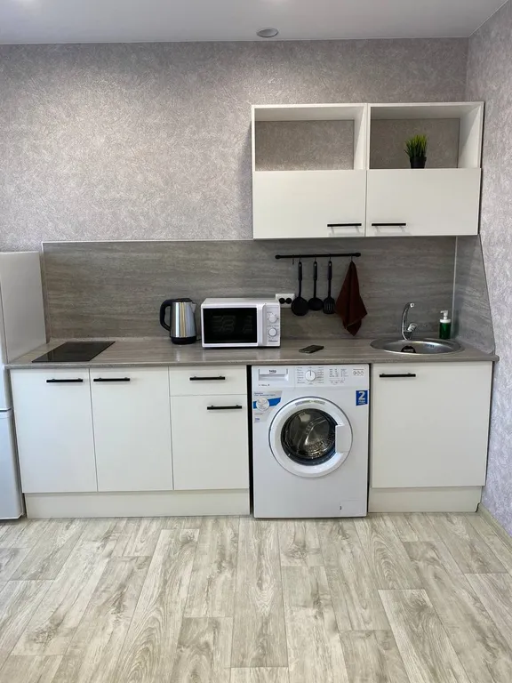 Современный апартамент норд