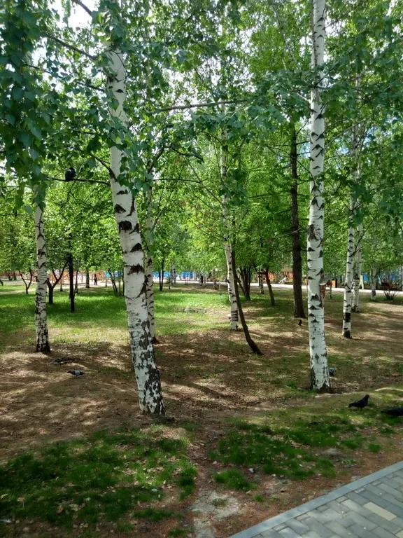 Уютная квартира с видом на парк