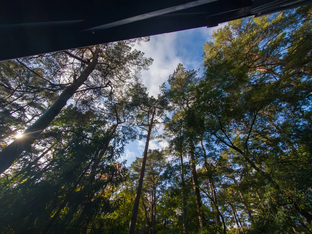 Двухуровневые апартаменты в тихом пространстве