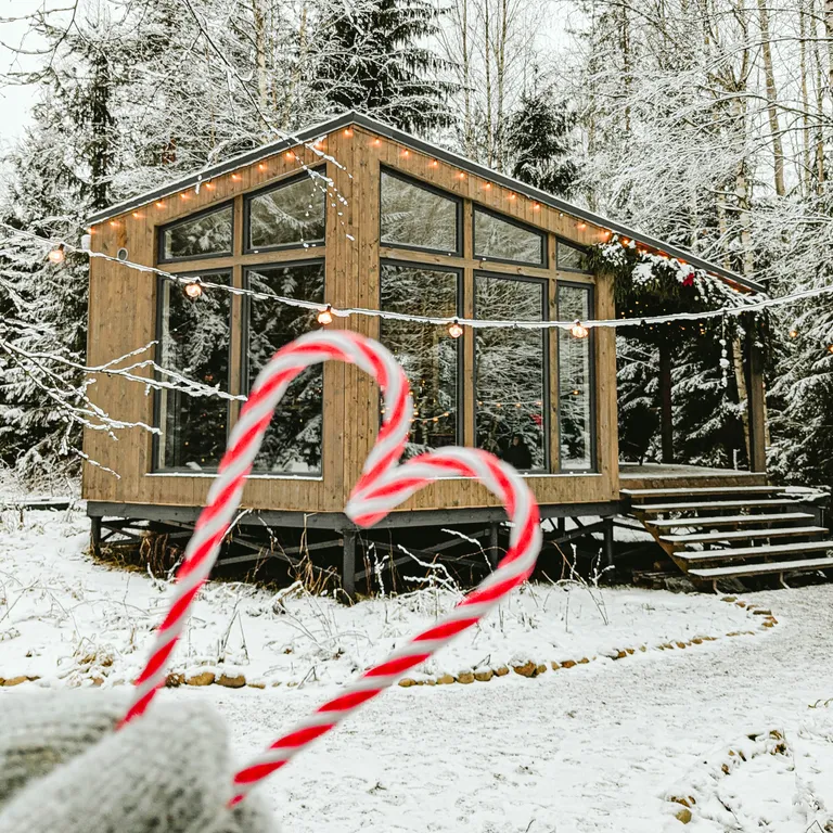 Коттедж Уютный дом в лесу — аренда посуточно в Выборг