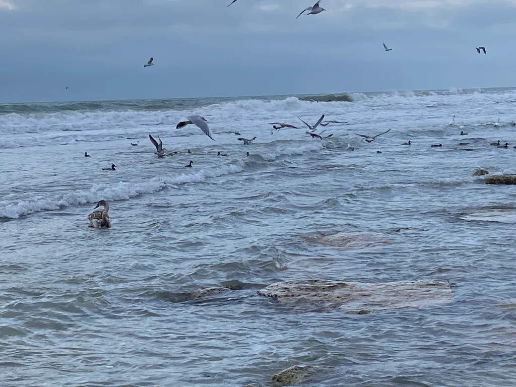 Уютная квартира студия рядом с морем