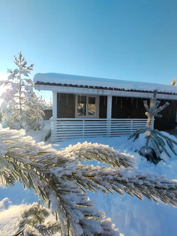 Коттедж Уютный дом у озера — Волосово