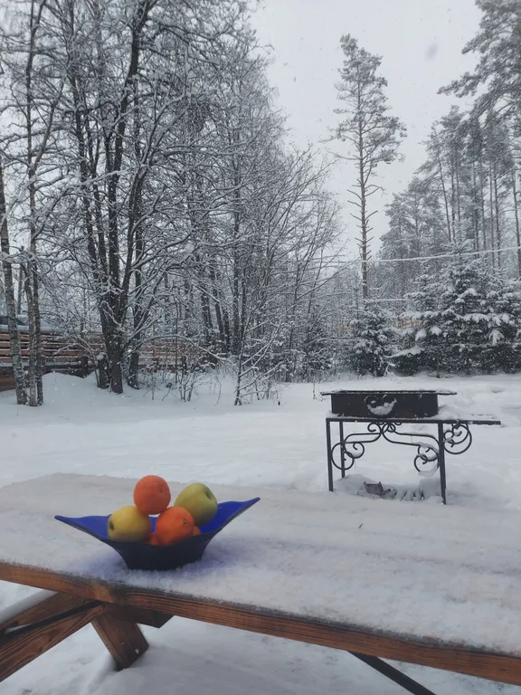 SkiLife уютный дом у горнолыжных курортов