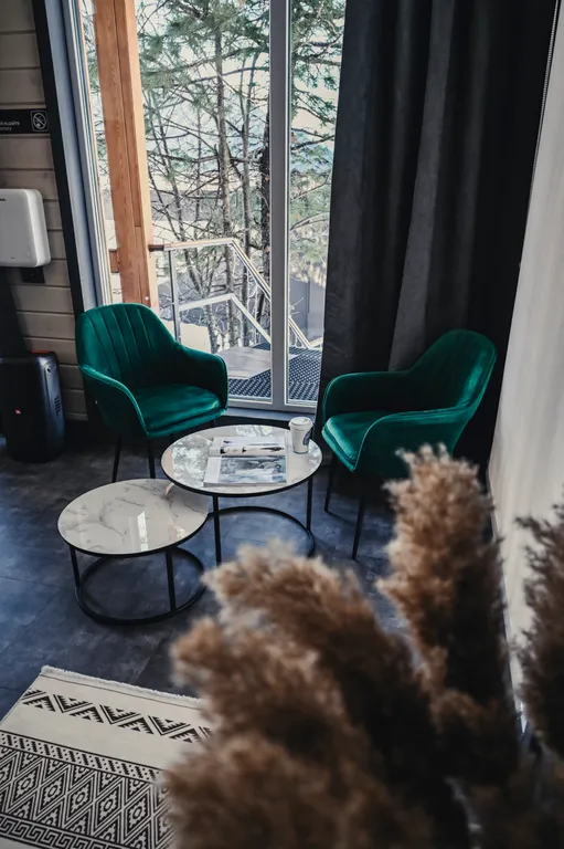 Барнхаус Chamonix c панорамными окнами