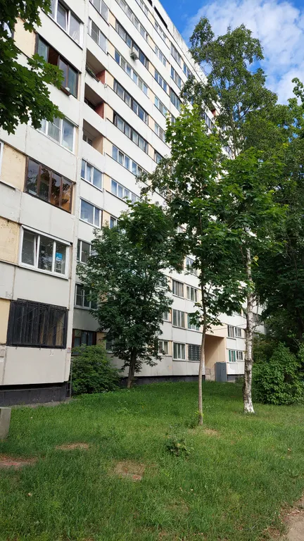 Квартира Уютная 2-кквартира рядом с метро пионерская и медцентром алмазова — Санкт-Петербург