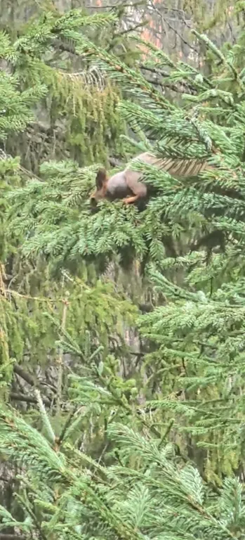 Дом с баней на берегу залива реки Чусовая База Отдыха