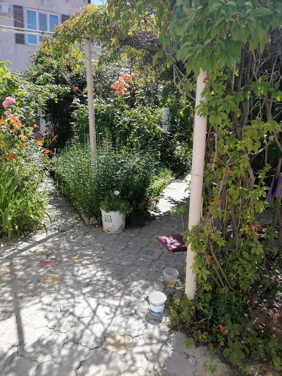 Отдельный домик