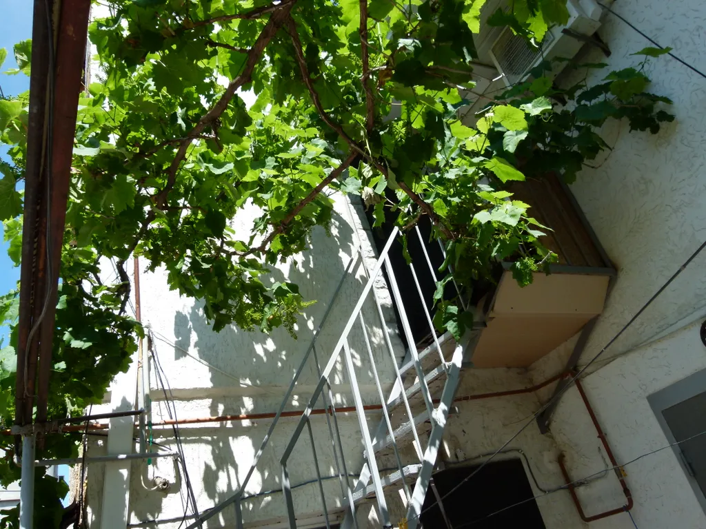 Квартира Летняя гостевая квартира у Моря — Евпатория