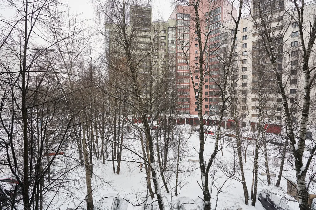 Квартира вблизи Спорттех Арены в тихом, экологически чистом районе