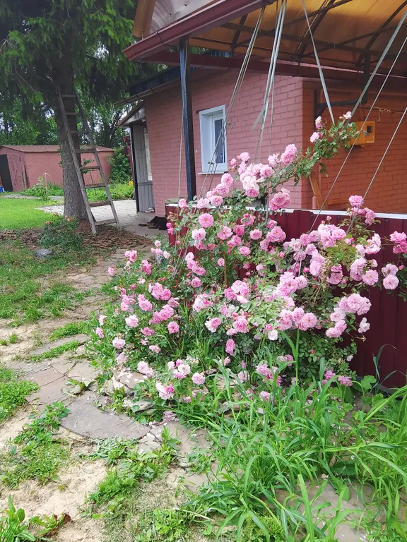 Кудыкина гора