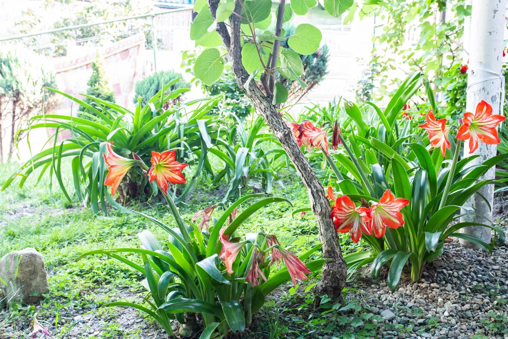 4-комнатный Дом