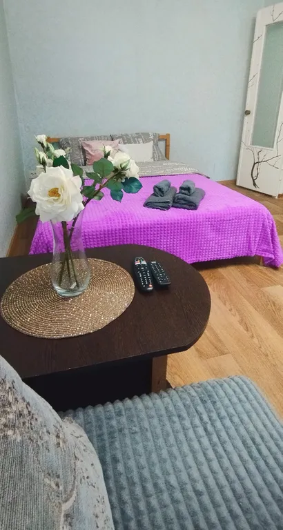 Уютная квартира в самом центре рядом с ЖД вокзалом