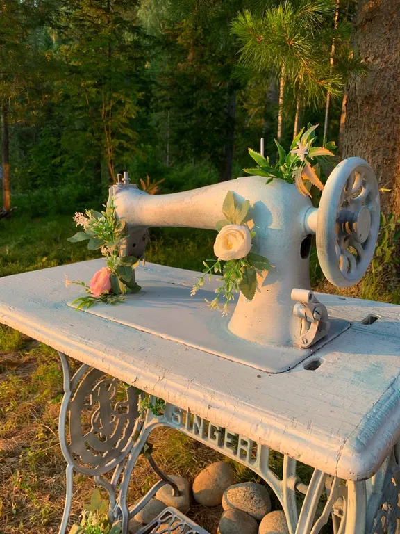 Дом на Алтае рядом с горами и рекой Бия