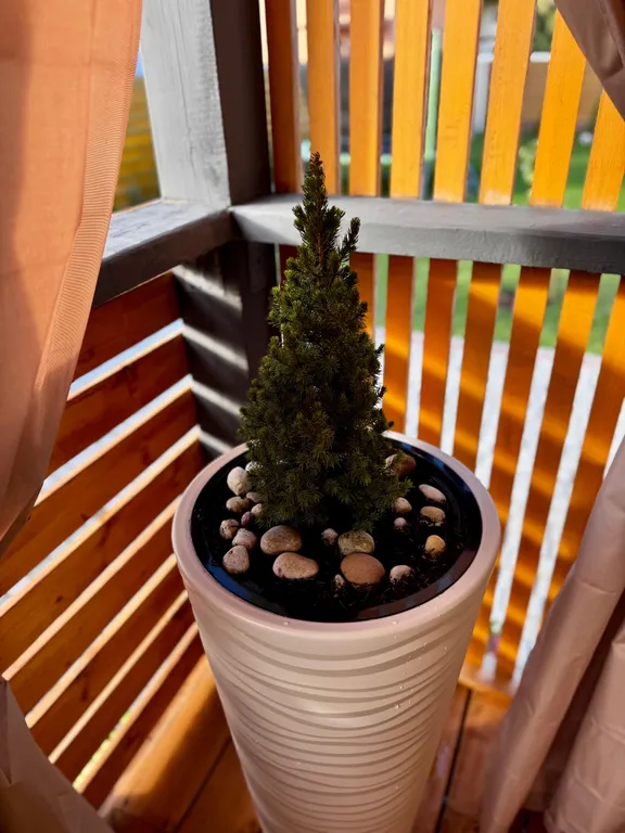 Дом с баней, караоке, PlayStation и Алисой на берегу моря