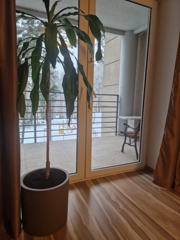 Квартира Квартира в тихом центре — Светлогорск