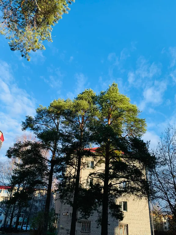 Любимая квартирка у набережной реки Свирь