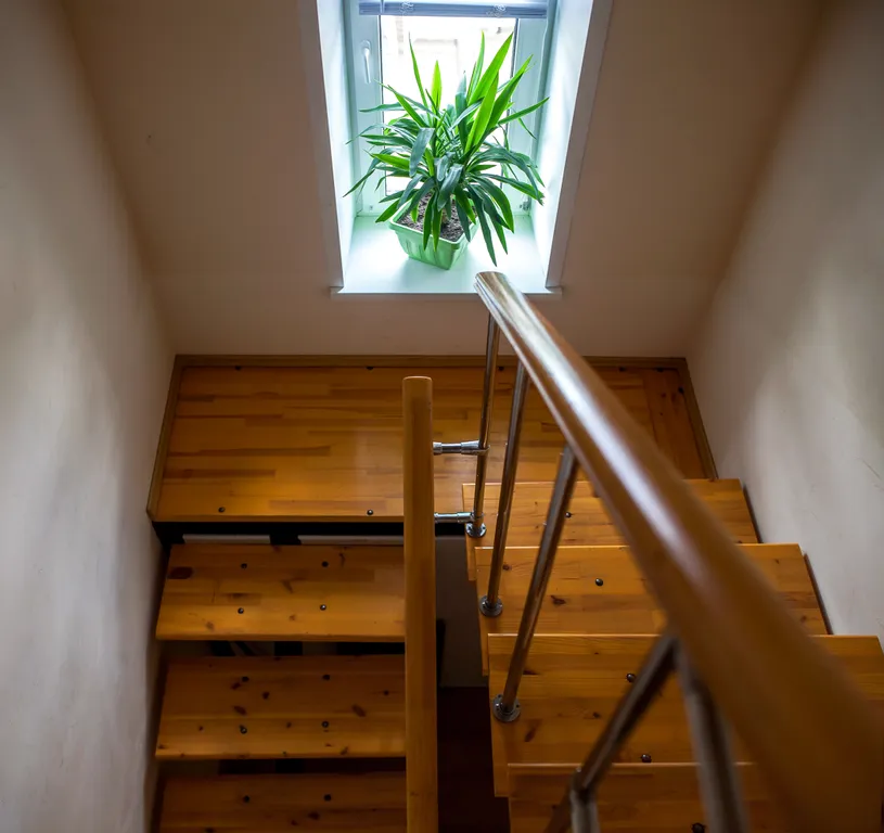 Родные пенаты