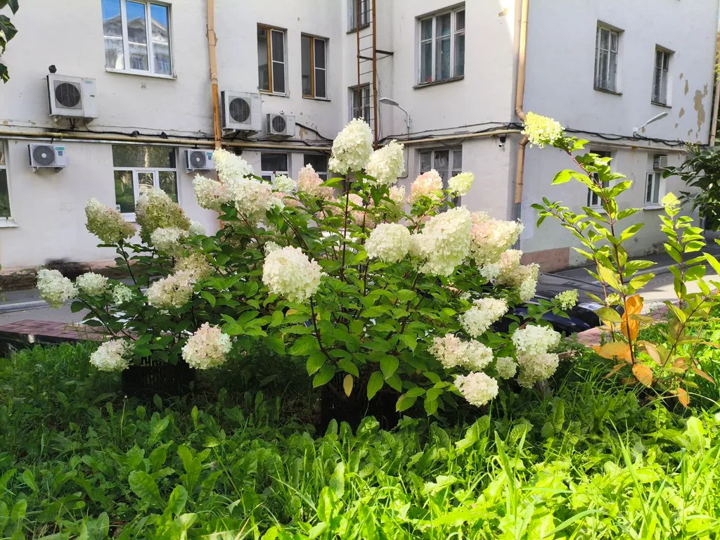 Квартира Квартира Сердце Втузгородка — ваш дом в центре Екатеринбурга — Екатеринбург