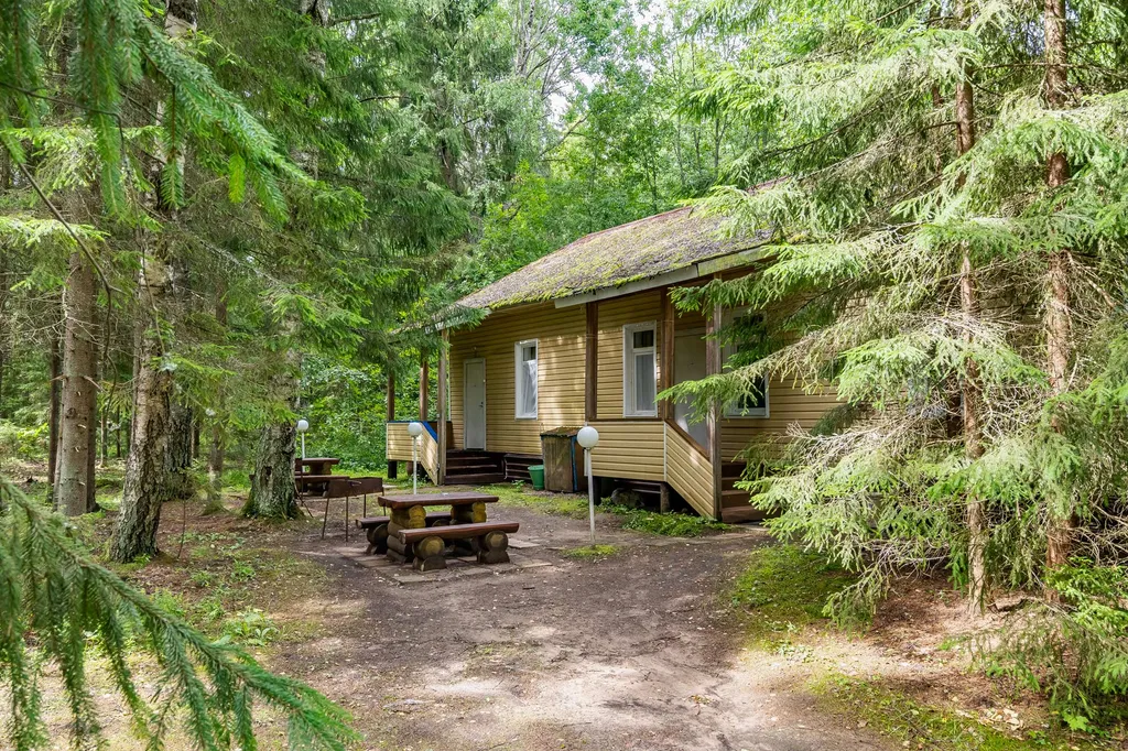 Коттедж Коттедж Студия 2 — Луга