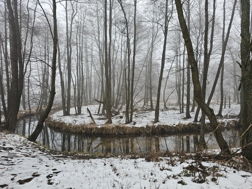 Уединенный дом в лесу