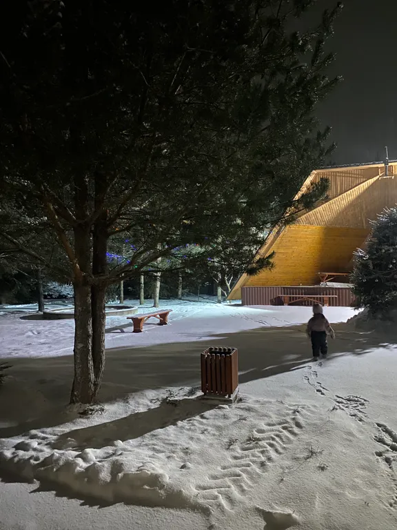 Дом для отдыха с камином, баней, оформлением к празднику