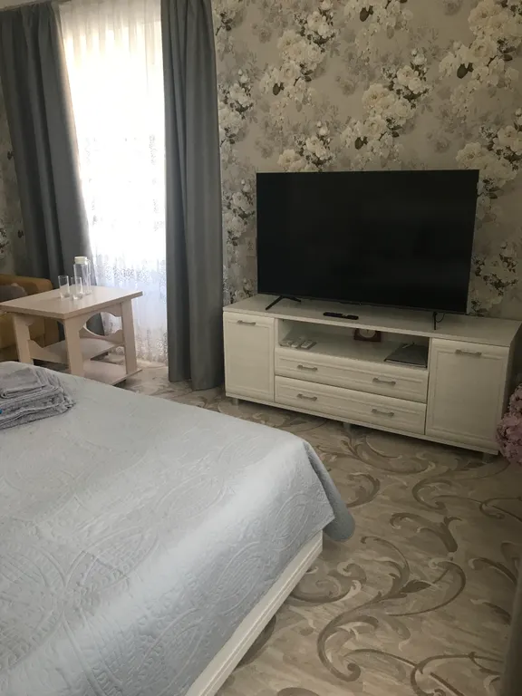 Однокомнатная квартира с окнами на парк Землячки рядом цирк, УДС Молот